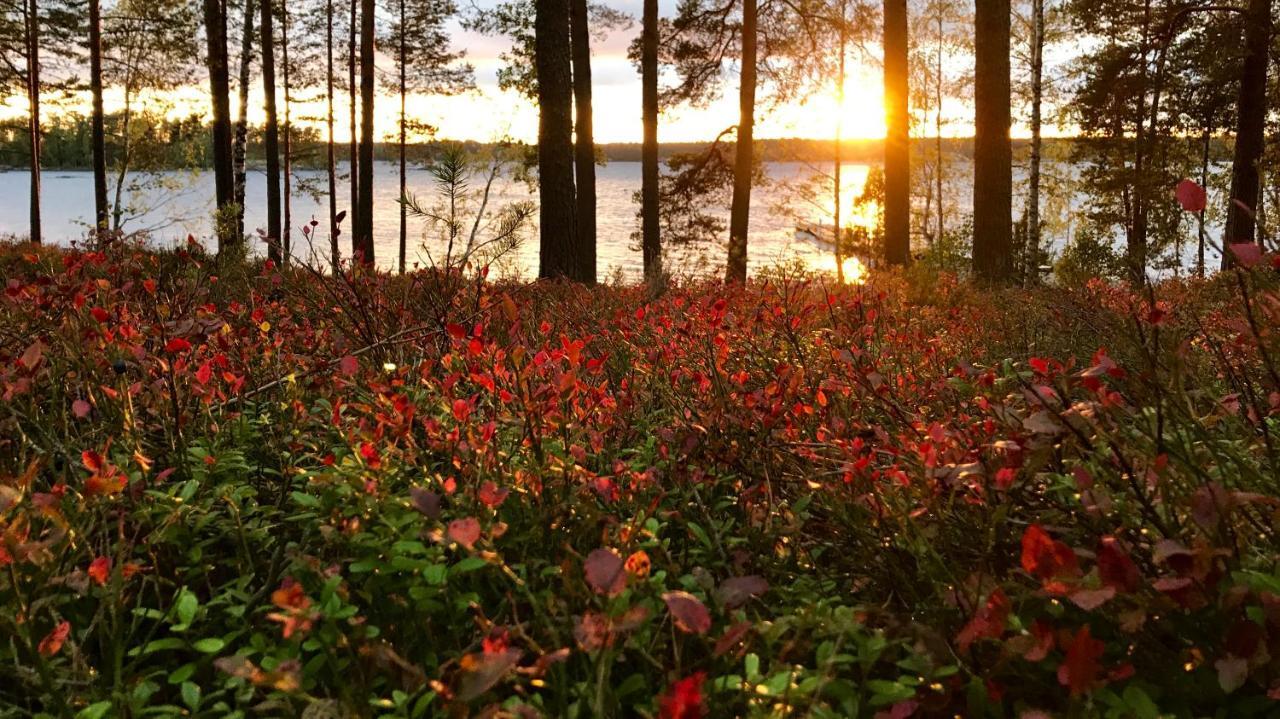 Koskenselaen Lomakylae Villa Puumala Eksteriør bilde